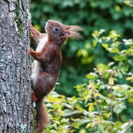 9 La Boverie * 伦德科斯